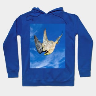 Peregrine Falcon Hoodie